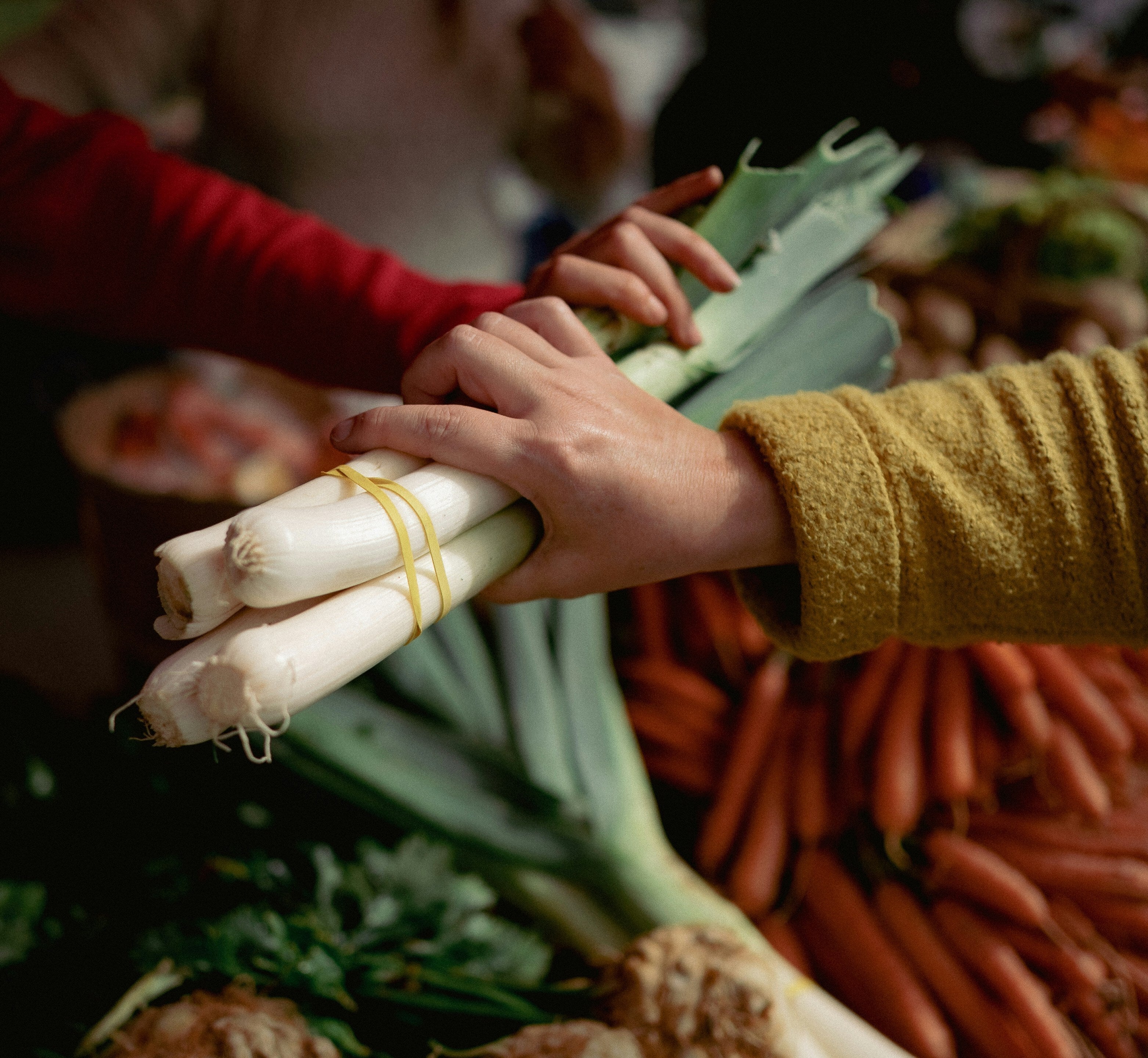 Alimentación sana para la vuelta al cole: los consejos de dos nutricionistas