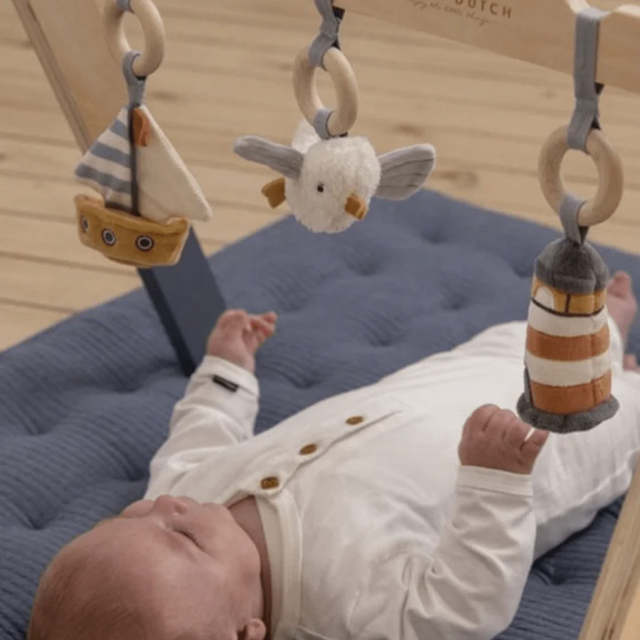 Gimnasio para bebés: ¿cuáles son sus beneficios?