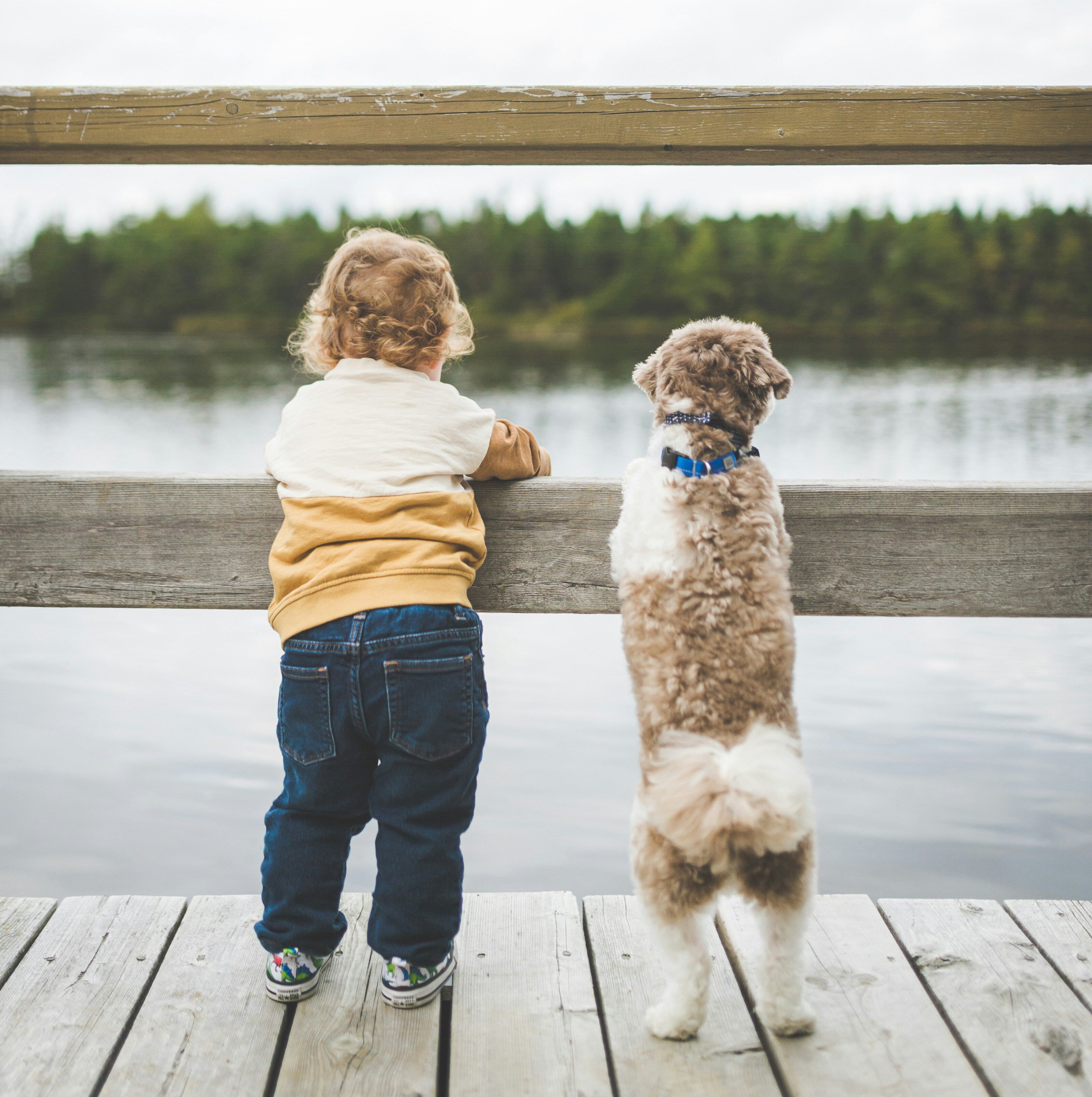 Ventajas para los niños de vivir con una mascota (y algunos consejos)