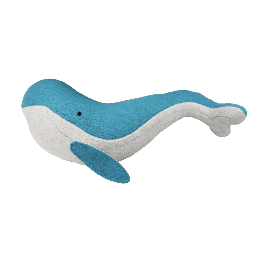 Animales del Océano de Lana