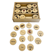 Instrumentos Musicales