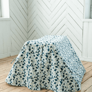 carpa_triangulo_pikler_azul